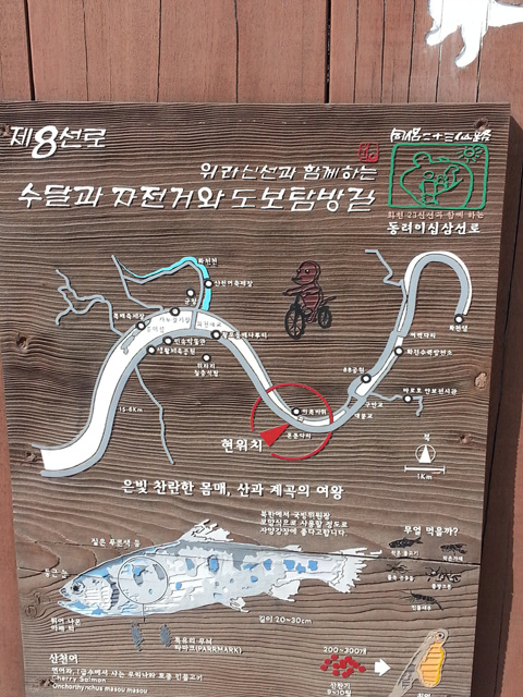 20130301_112405.jpg