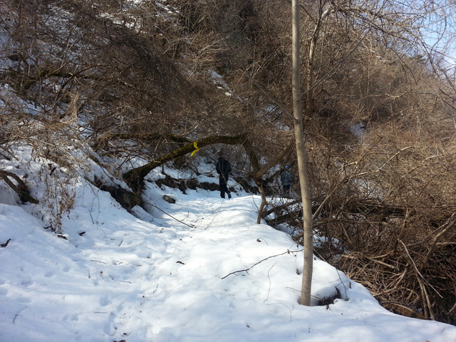 20130301_113709.jpg
