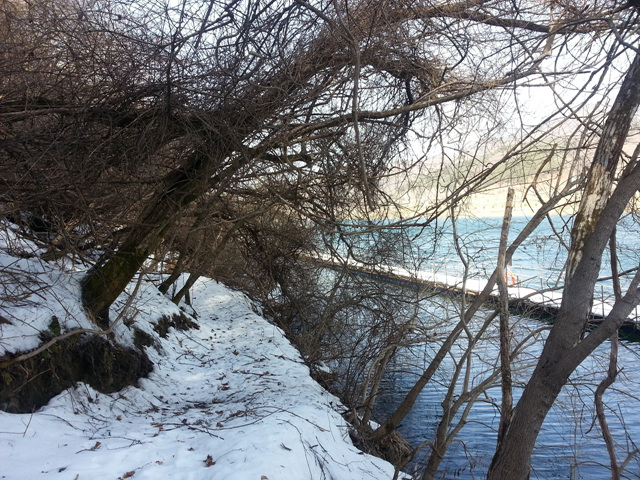 20130301_113957.jpg