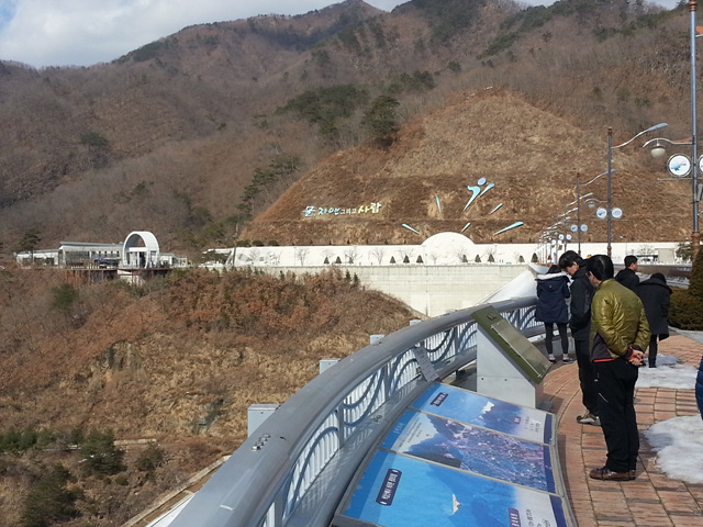 20130301_144129.jpg