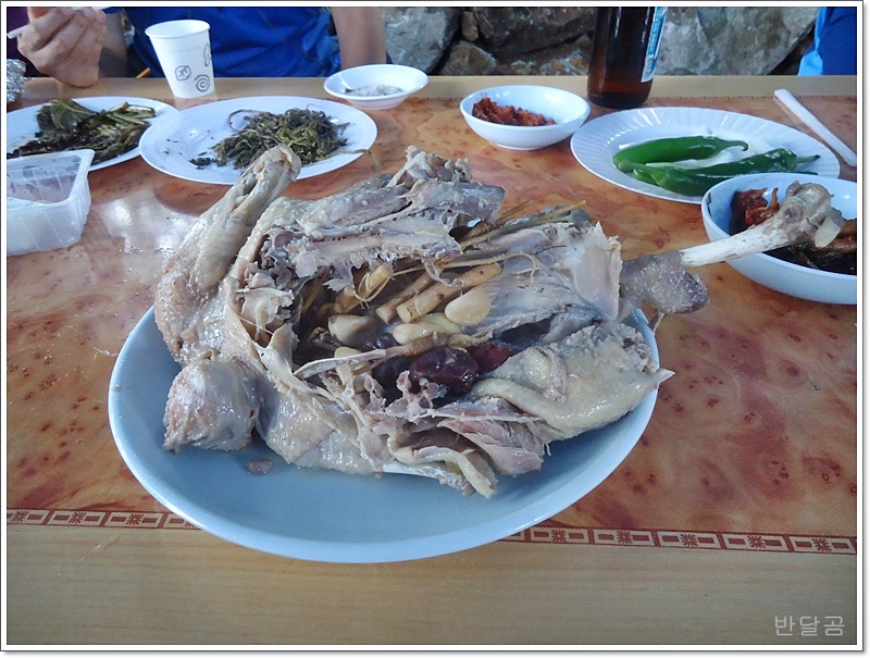 DSC08087.JPG