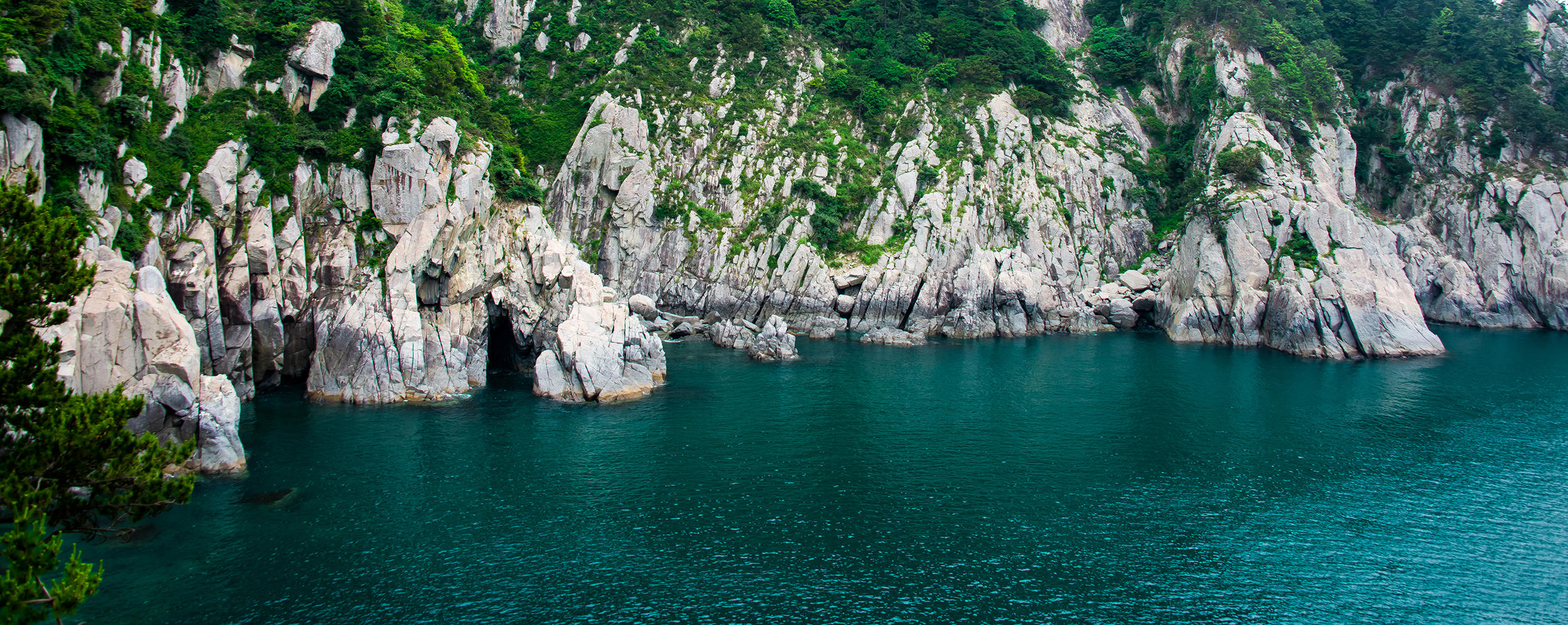 DSC_5196-1 사본.jpg