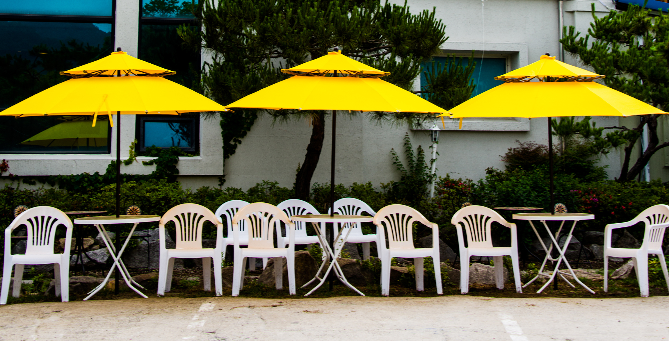 DSC_5613-1 사본.jpg